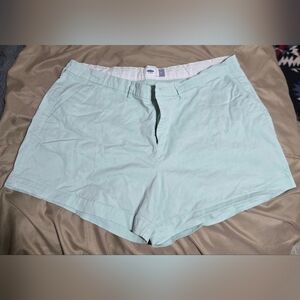 Light Green Casual Shorts